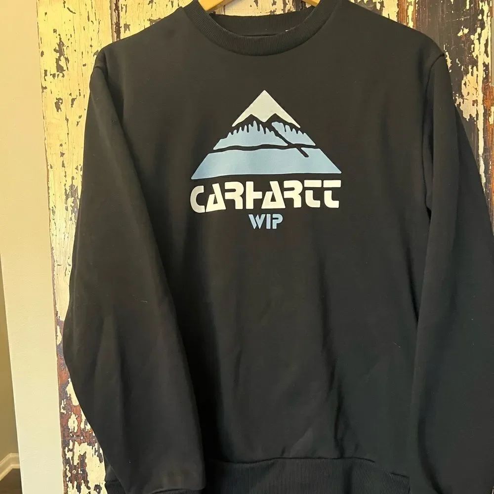 Carhartt WIP Men’s Mountain Print sweatshirt. Size medium. Streetwear.